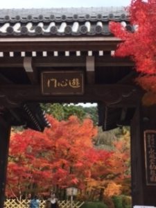 img_6584%e6%b0%b8%e8%a6%b3%e5%a0%82